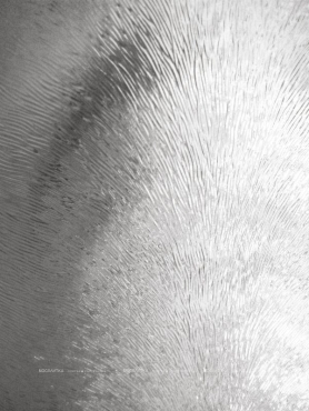 Душевая дверь BelBagno Sela 60х190 см SELA-B-2-60-P-Cr профиль хром стекло рифленое - 2 изображение